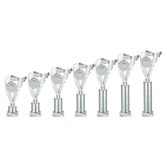 Frenzy Multisport Tube Trophy Silver