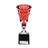 Cobra Star Multisport Cup Silver & Red 230mm
