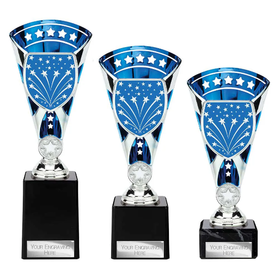 Cobra Star Multisport Cup Silver & Blue