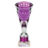 Cobra Star Multisport Tube Trophy Silver & Purple 230mm
