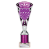 Cobra Star Multisport Tube Trophy Silver & Purple 255mm