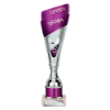 Predator Multisport Tube Trophy Silver & Purple 260mm