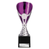Rising Stars Premium Plastic Trophy Silver & Purple 205mm