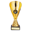 Rising Stars Premium Plastic Trophy Gold 175mm