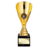 Rising Stars Premium Plastic Trophy Gold 205mm