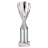 Rising Stars Plastic Trophy Silver 255mm