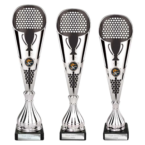 Eclectic Trophy Silver & Black
