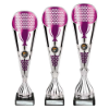 Eclectic Trophy Silver & Purple