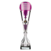Eclectic Trophy Silver & Purple 360mm