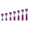 Rising Stars Plastic Trophy Purple