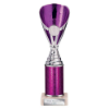 Rising Stars Plastic Trophy Purple 255mm