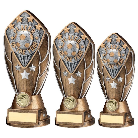 Picture of Bz/silv Diamond Column + Player Of The Year Disc & Plate (1in Cen)