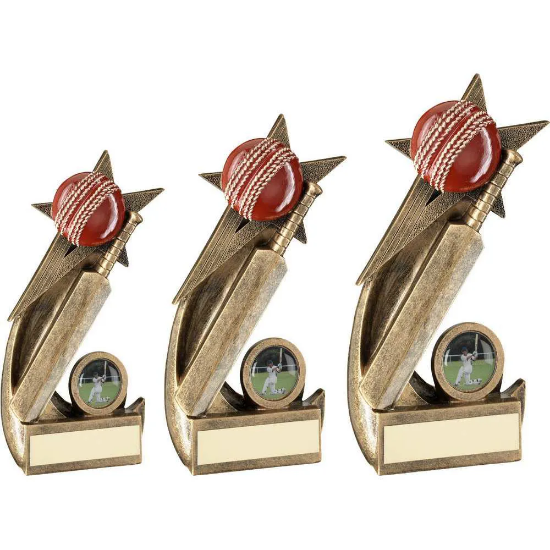 BRZ/GOLD/ CRICKET BALL AND BAT ON SHOOTING STAR WITH PLATE (1in CEN)