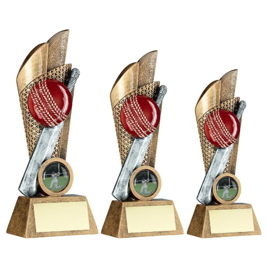 BRZ/PEW/GOLD CRICKET BALL AND BAT ON MESH BACKDROP WITH PLATE (1in CEN)