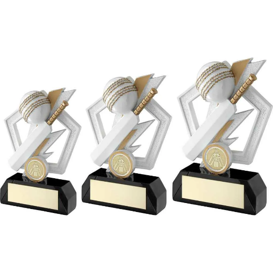 WHITE/GOLD/BLACK CRICKET BAT AND BALL ON PENTAGON WITH PLATE (1in CEN)