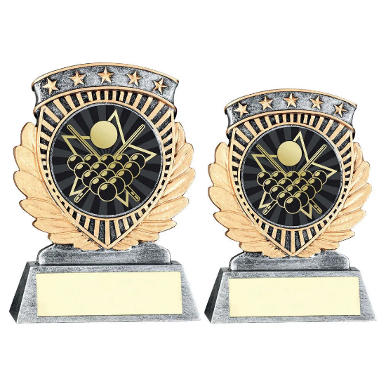 PEW/GOLD 5 STAR HOLDER WITH VINYL POOL/SNOOKER INSERT & PLATE