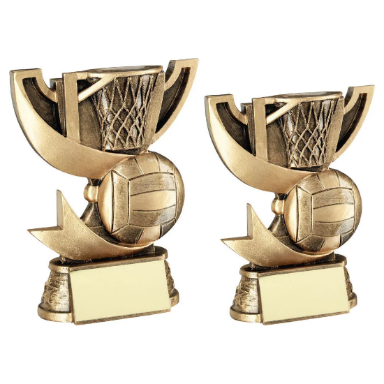 BRZ/GOLD CUP RANGE FOR NETBALL WITH PLATE