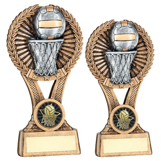 BRZ/GOLD/PEW NETBALL ROUND WREATH ON V RISER WITH PLATE (1in CEN)