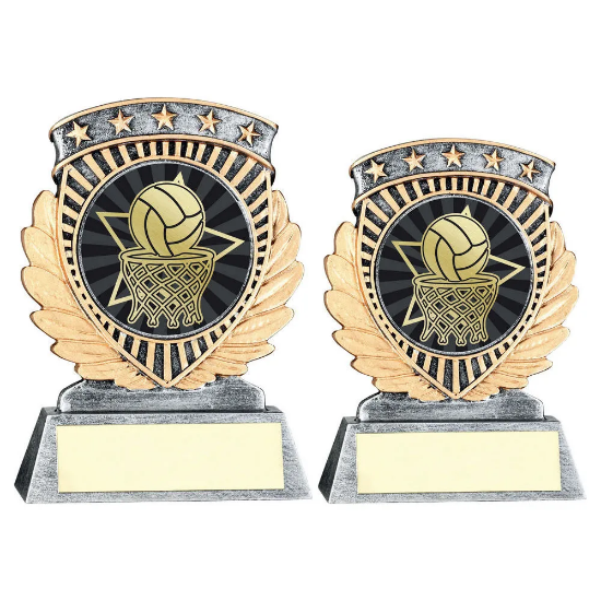 PEW/GOLD 5 STAR HOLDER WITH VINYL NETBALL INSERT & PLATE