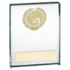 Picture of Jade/gold Glass Block With Netball Insert And Plate
