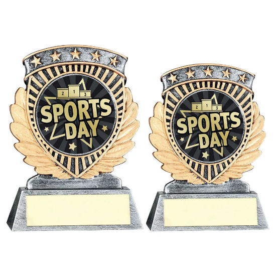 PEW/GOLD 5 STAR HOLDER WITH VINYL SPORTS DAY INSERT & PLATE