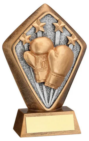 BRZ/GOLD DIAMOND HOLDER WITH BOXING DISC WITH PLATE - 5.25in