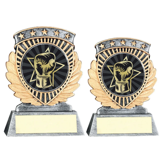 PEW/GOLD 5 STAR HOLDER WITH VINYL BOXING INSERT & PLATE