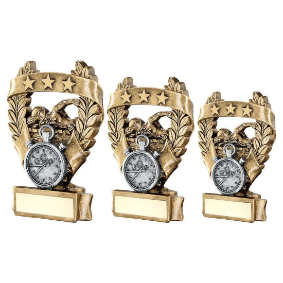 BRZ/PEW/GOLD SWIMMING 3 STAR WREATH AWARD WITH PLATE