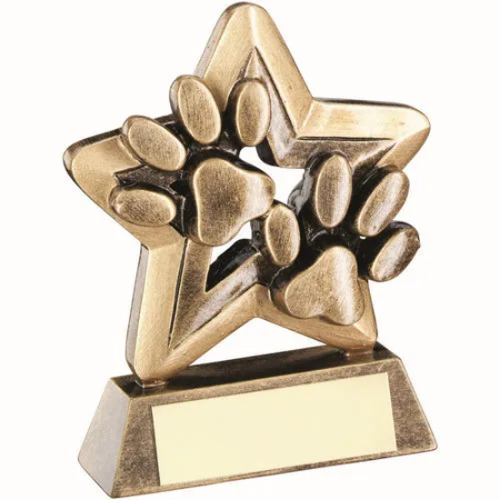 BRZ/GOLD DOG PAWS WITH PLATE MINI STAR WITH PLATE - 3.75in