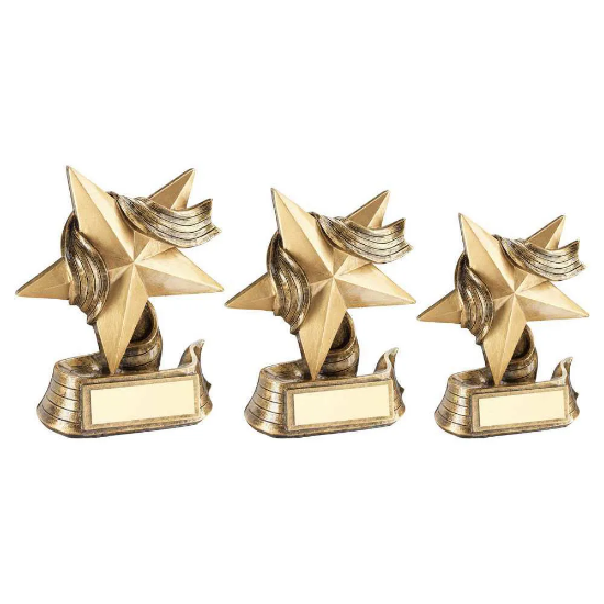 BRZ/GOLD STAR AND RIBBON AWARD WITH PLATE