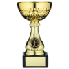 GOLD MINI ASSEMBLED TROPHY CUP WITH PLATE (1in CENTRE) - 6.5in