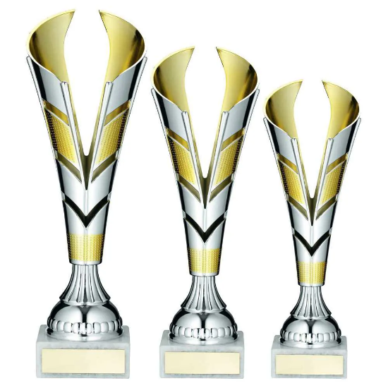 SILVER/GOLD PLASTIC V TROPHY CUP
