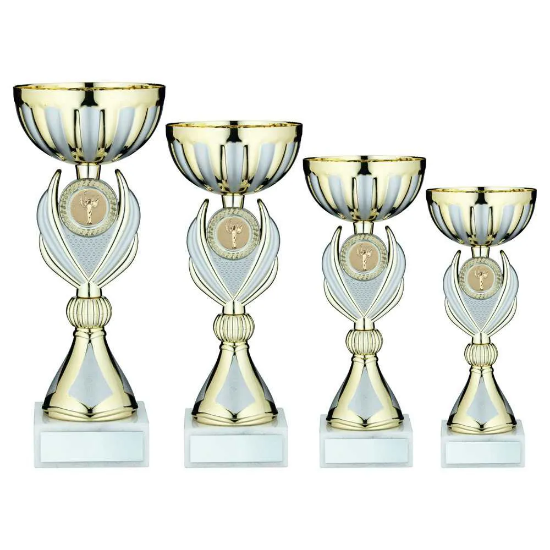 GOLD/MATT SILVER TROPHY CUP WITH PLATE (2in CENTRE)
