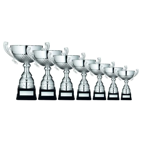 SILVER HALF BOWL WITH HANDLES ASSEMBLED TROPHY AND PLATE