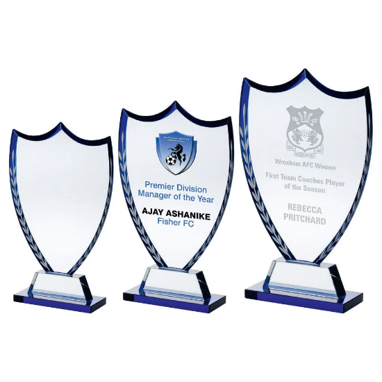 CLEAR GLASS SHIELD WITH  EDGE AND FROSTED WREATH (10mm THICK)