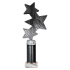 Trinity Star Multisport Tube Trophy Black & Silver 290mm