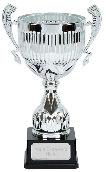 Alpha Silver Cup (n) (silver) (17 Inch (43cm))
