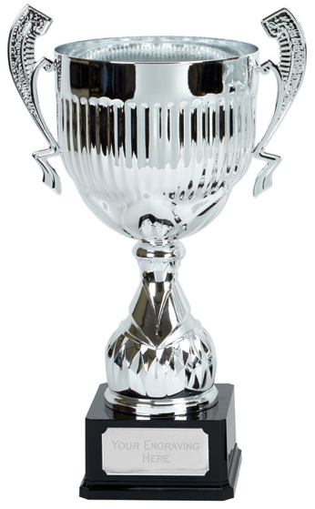 Alpha Silver Cup (n) (silver) (19 Inch (48cm))