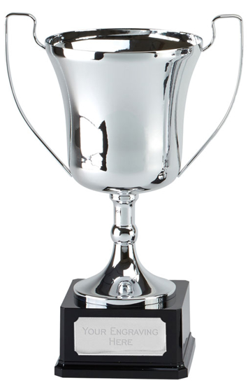 Elite Pro Cup (n) (silver) (16.25 Inch (41cm))