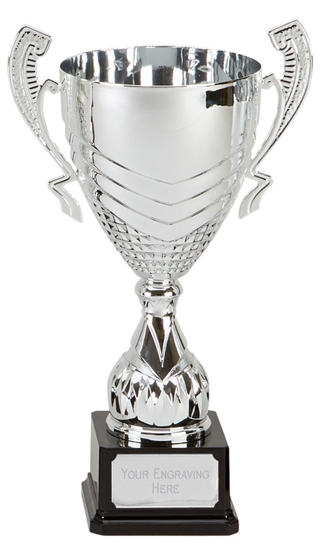Link Silver Cup (n) (silver) (13.75 Inch (35cm))