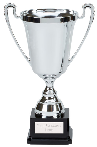 Moment Cup (n) (silver) (11.5 Inch (29cm))