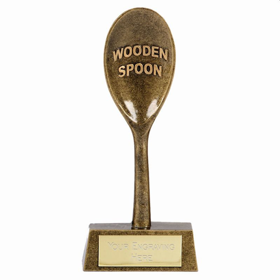 Pinnacle6 Wooden Spoon6 (aggt) (6.5 Inch (16.5cm))