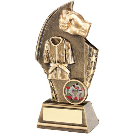 Brz/gold Martial Arts Curved Plaque Trophy - (1in Centre) 6in (152mm)