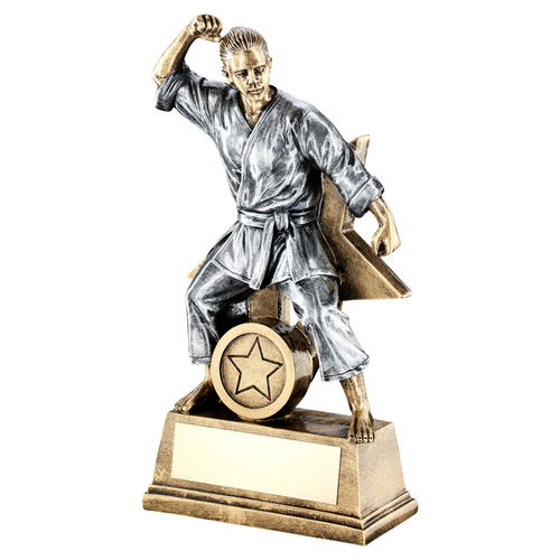 Brz/gold/pew Female Martial Arts Figure With Star Backing Trophy (1in Cen) - 9in (229mm)