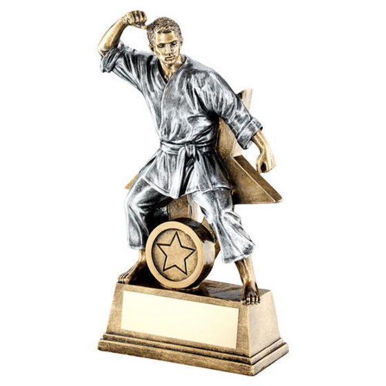 Brz/gold/pew Male Martial Arts Figure With Star Backing Trophy (1in Centre) - 9" (229mm)