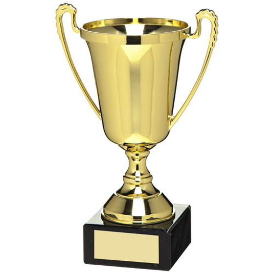 Gold Plastic Cup Trophy - 10.5in (267mm)