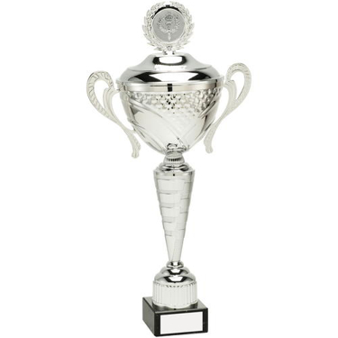Tall Silver Sport School Cup 3/4 Bowl Handles Lid Trophy 15.25in FREE Engraving 