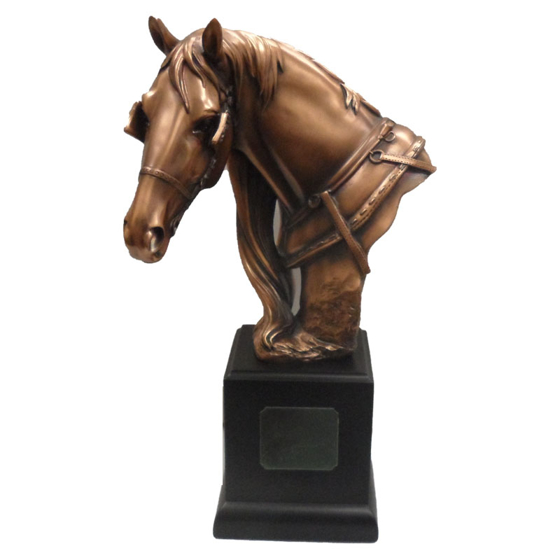 Horse Head Award 290mm