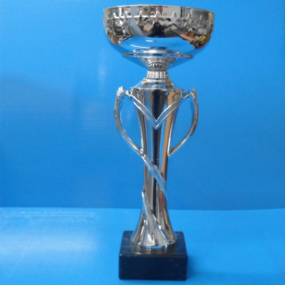 Tall Slim Silver Cup  290mm