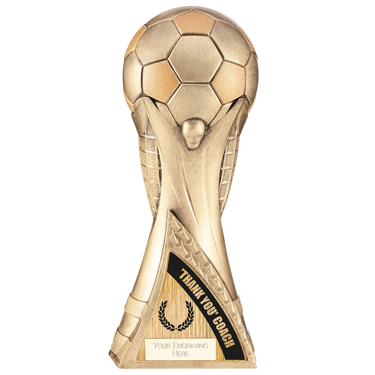 Football Manager Thanks Trophy Award 230mm FREE Engraving 